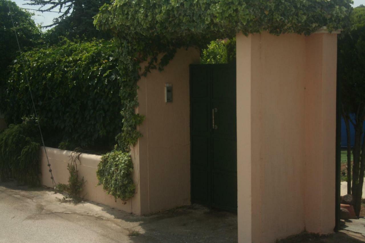 Rafina great feeling villa Exteriör bild